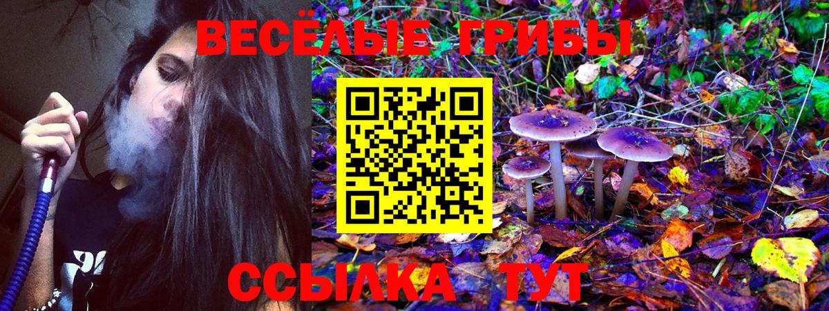 Псилоцибиновые грибы Magic Shrooms Соль-Илецк