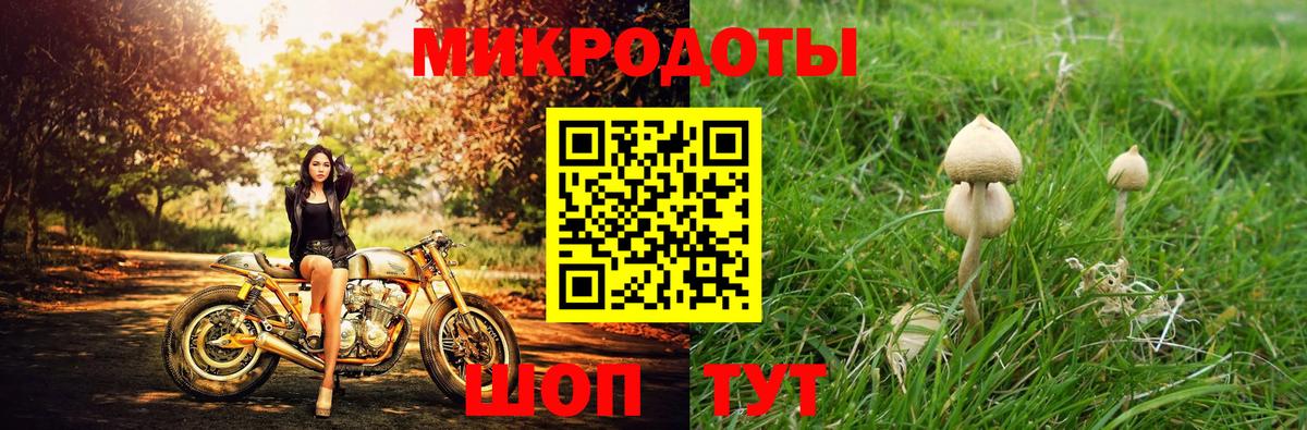 даркнет сайт  Псилоцибиновые грибы мицелий  Вход с VPN  Псилоцибиновые грибы GOLDEN TEACHER  Соль-Илецк 